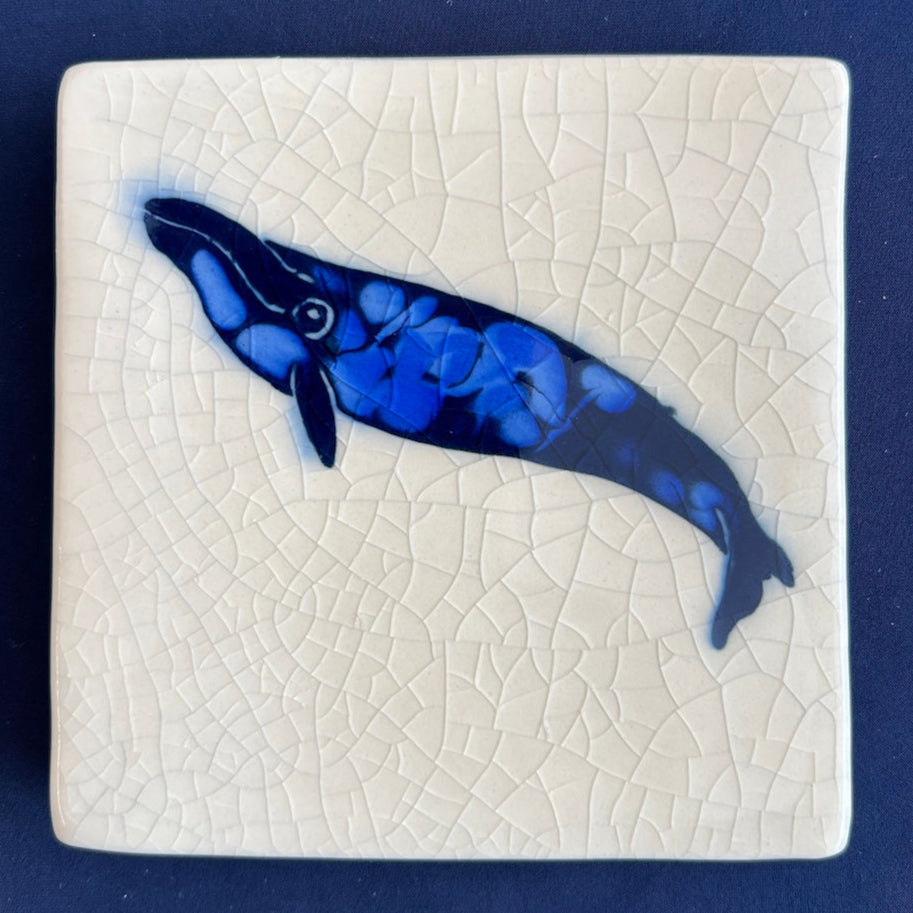 Square ceramic coaster with a blue whale design on a crackle glaze background